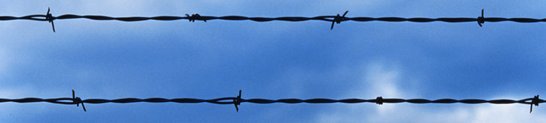 Photo barbed wire